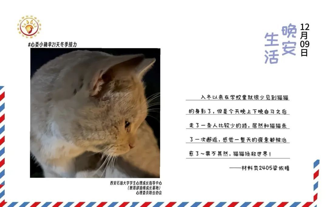 心委小确幸21天冬季接力第20天